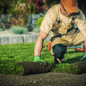 landscape companies in woodstock ga - How to Save Money on Landscaping Projects - a landscaper laying sod on a lawn