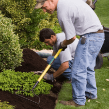 woodstock landscaping businesses - 6 Tips to Save Money on Landscape Projects - landscapers applying mulch around shrubs and other plants