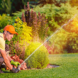 lawn care woodstock ga - The Perfect Lawn How to Get It Green and Keep It That Way - landscaper crouching on the lawn directing the target of a water sprinkler
